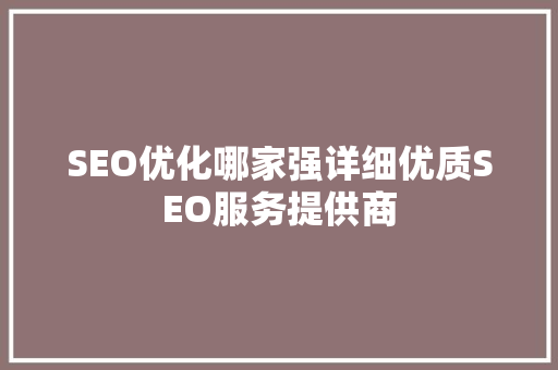 SEO优化哪家强详细优质SEO服务提供商