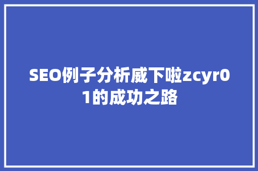 SEO例子分析威下啦zcyr01的成功之路