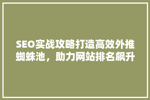 SEO实战攻略打造高效外推蜘蛛池，助力网站排名飙升
