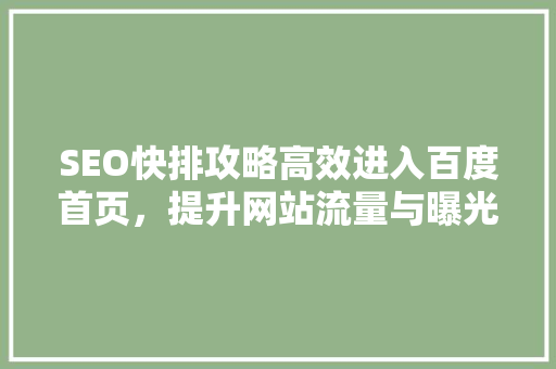 SEO快排攻略高效进入百度首页，提升网站流量与曝光