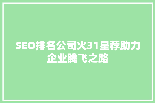 SEO排名公司火31星荐助力企业腾飞之路  第1张