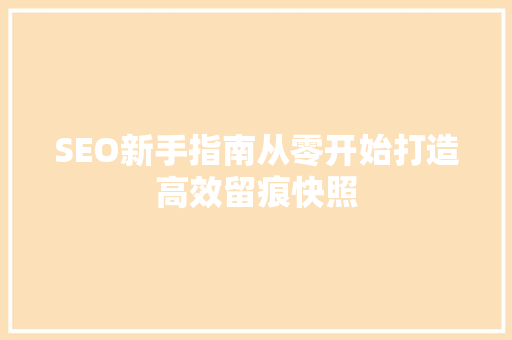 SEO新手指南从零开始打造高效留痕快照  第1张