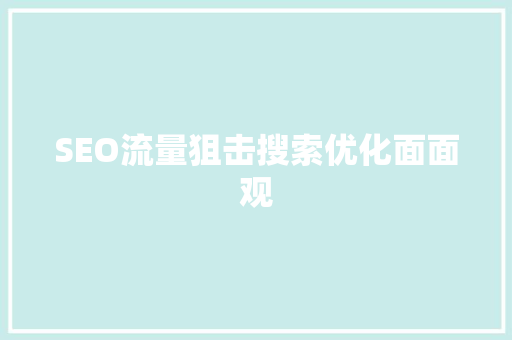SEO流量狙击搜索优化面面观  第1张