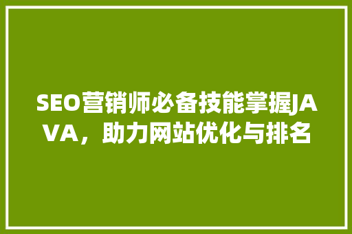 SEO营销师必备技能掌握JAVA，助力网站优化与排名提升  第1张