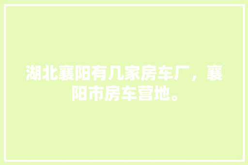 0的终止代码解码数字时代的终结符