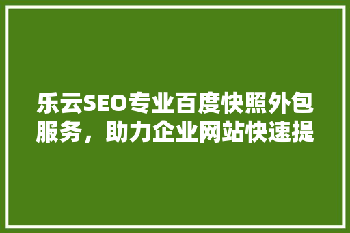 乐云SEO专业百度快照外包服务，助力企业网站快速提升排名