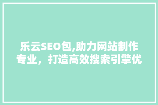 乐云SEO包,助力网站制作专业，打造高效搜索引擎优化步骤