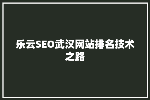 乐云SEO武汉网站排名技术之路