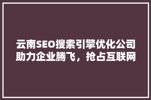 云南SEO搜索引擎优化公司助力企业腾飞，抢占互联网市场制高点