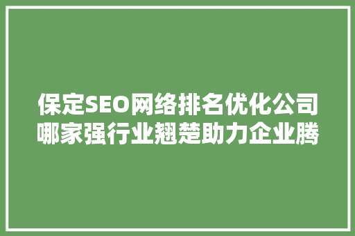 保定SEO网络排名优化公司哪家强行业翘楚助力企业腾飞