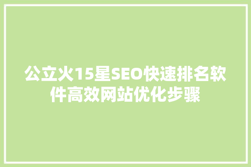 公立火15星SEO快速排名软件高效网站优化步骤