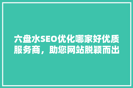 六盘水SEO优化哪家好优质服务商，助您网站脱颖而出
