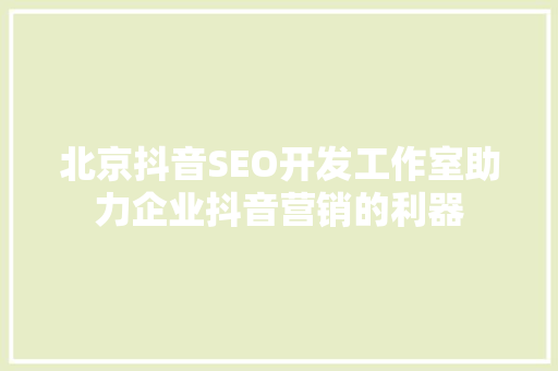 北京抖音SEO开发工作室助力企业抖音营销的利器