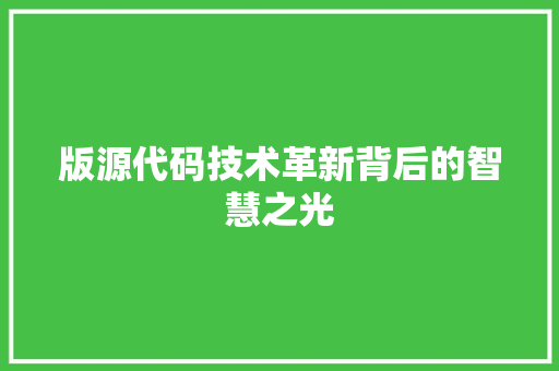 版源代码技术革新背后的智慧之光