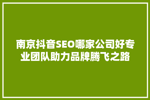 南京抖音SEO哪家公司好专业团队助力品牌腾飞之路