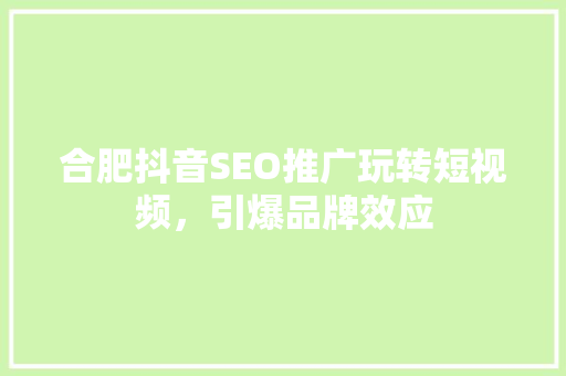 合肥抖音SEO推广玩转短视频，引爆品牌效应