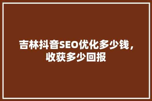 吉林抖音SEO优化多少钱，收获多少回报