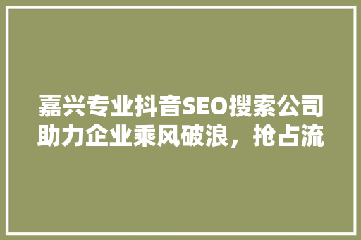 嘉兴专业抖音SEO搜索公司助力企业乘风破浪，抢占流量高地