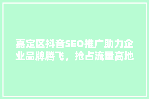 嘉定区抖音SEO推广助力企业品牌腾飞，抢占流量高地