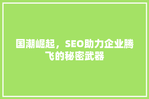 国潮崛起，SEO助力企业腾飞的秘密武器