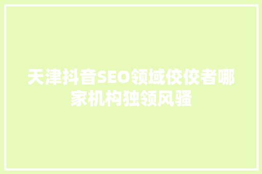 天津抖音SEO领域佼佼者哪家机构独领风骚