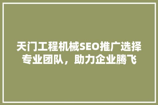 天门工程机械SEO推广选择专业团队，助力企业腾飞