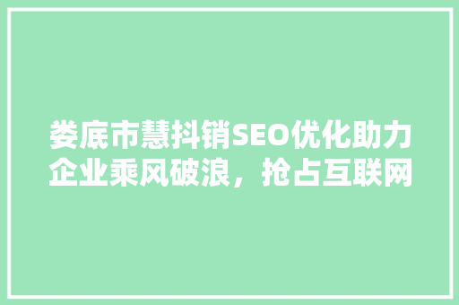 娄底市慧抖销SEO优化助力企业乘风破浪，抢占互联网市场先机