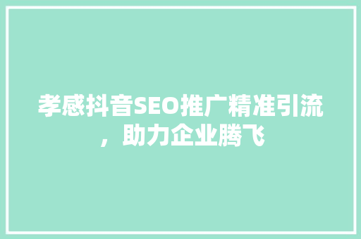 孝感抖音SEO推广精准引流，助力企业腾飞