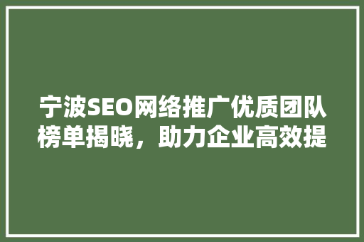 宁波SEO网络推广优质团队榜单揭晓，助力企业高效提升网络影响力