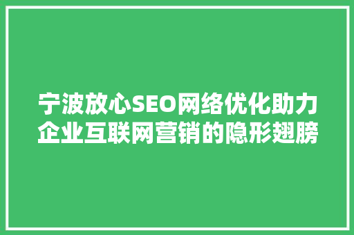 宁波放心SEO网络优化助力企业互联网营销的隐形翅膀