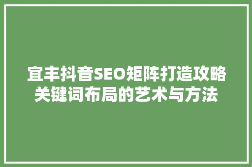 宜丰抖音SEO矩阵打造攻略关键词布局的艺术与方法