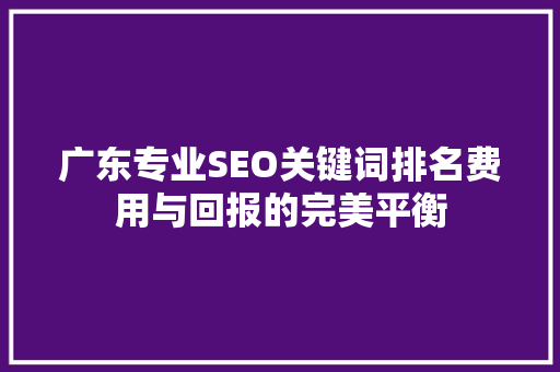 广东专业SEO关键词排名费用与回报的完美平衡