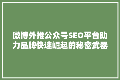 微博外推公众号SEO平台助力品牌快速崛起的秘密武器