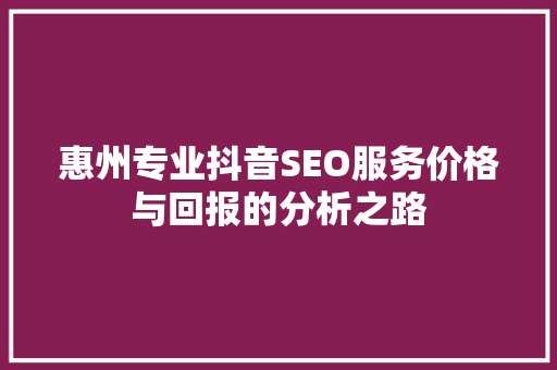 惠州专业抖音SEO服务价格与回报的分析之路