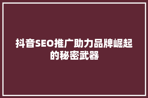 抖音SEO推广助力品牌崛起的秘密武器