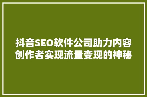 抖音SEO软件公司助力内容创作者实现流量变现的神秘力量