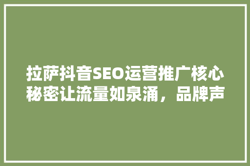 拉萨抖音SEO运营推广核心秘密让流量如泉涌，品牌声名远扬