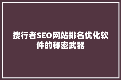 搜行者SEO网站排名优化软件的秘密武器