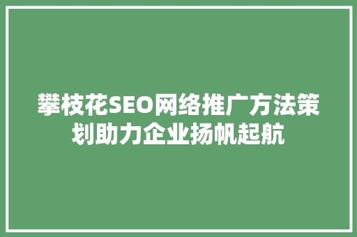攀枝花SEO网络推广方法策划助力企业扬帆起航