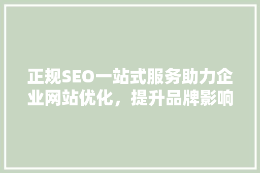 正规SEO一站式服务助力企业网站优化，提升品牌影响力