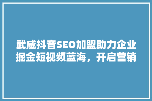 武威抖音SEO加盟助力企业掘金短视频蓝海，开启营销新篇章
