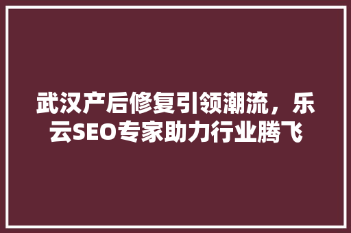 武汉产后修复引领潮流，乐云SEO专家助力行业腾飞
