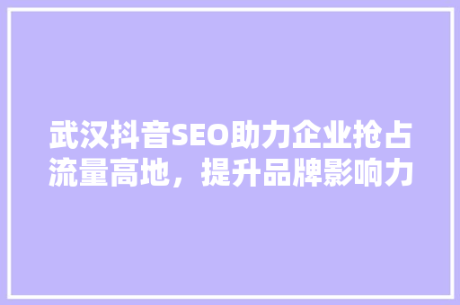 武汉抖音SEO助力企业抢占流量高地，提升品牌影响力