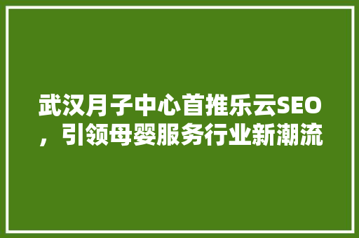 武汉月子中心首推乐云SEO，引领母婴服务行业新潮流