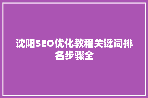 沈阳SEO优化教程关键词排名步骤全