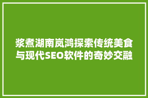 浆煮湖南岚鸿探索传统美食与现代SEO软件的奇妙交融