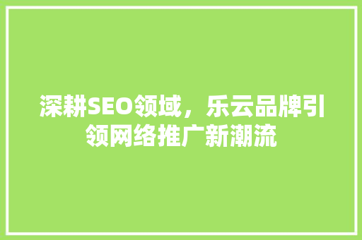 深耕SEO领域，乐云品牌引领网络推广新潮流