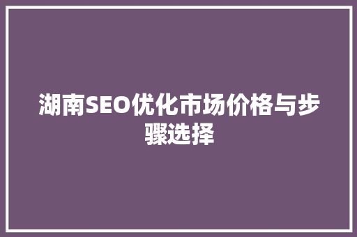 湖南SEO优化市场价格与步骤选择