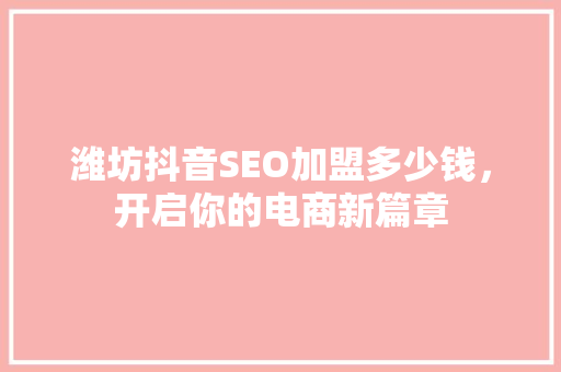 潍坊抖音SEO加盟多少钱，开启你的电商新篇章