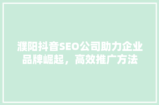 濮阳抖音SEO公司助力企业品牌崛起，高效推广方法